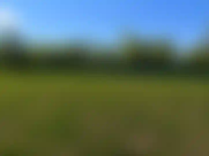 facade slide