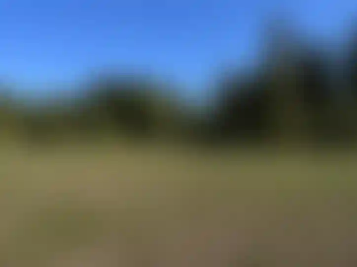 facade slide